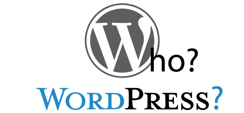 testata-articolo-wordpress